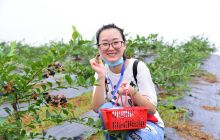 美味“蓝”不住 高坝田村蓝莓基地开园了