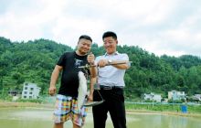 印江县新黔坝区:“鱼米之乡”再续鱼米情