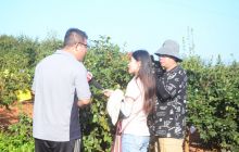 “山海同行·决胜今朝”东西部扶贫协作“6+1”省级媒体主题采访活动走进铜仁