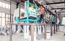 碧江区白水贡米加工厂即将峻工投产