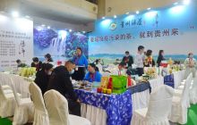 铜仁茶亮相2020北京国际茶业展