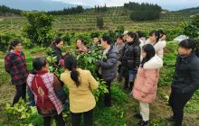 思南：技术给力 产业有力