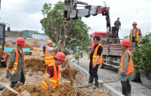 碧江区市政道路改造与环保绿化同步进行