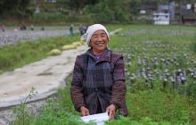 沿河县朝阳村黑木耳基地喜获丰收