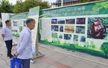 我市举办创建国家森林城市宣传活动