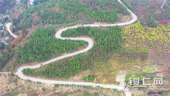 苗木基地1  张倩秋供图
