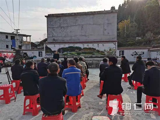 县党史研究室副主任张体珍在淇滩镇梅子村宣讲 王小兵摄