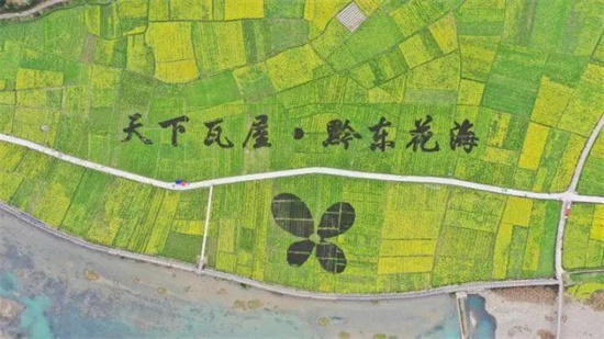 角逐贵州十大最美油菜花农事景观，铜仁这两大花海你青睐谁？