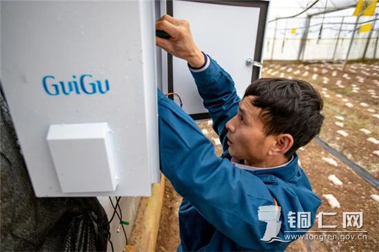 图5