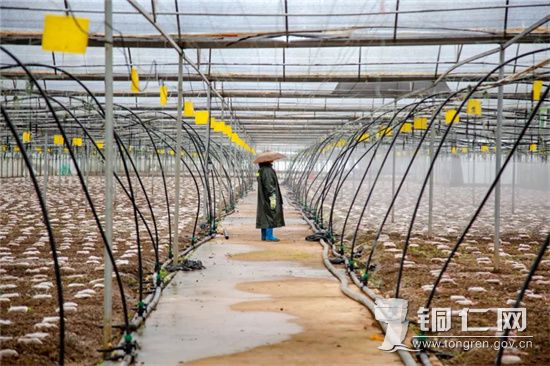 手机管种地？这家公司农业管护有妙招