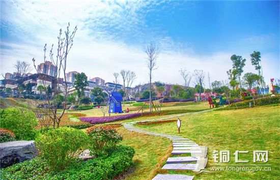 来仁山公园，与郁金香共赴春约