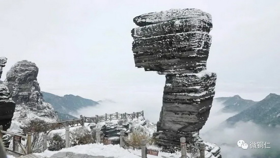 微信图片_20220304105238_调整大小