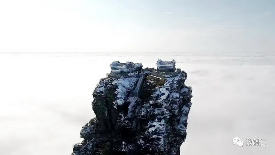 微信图片_20220304105246_调整大小