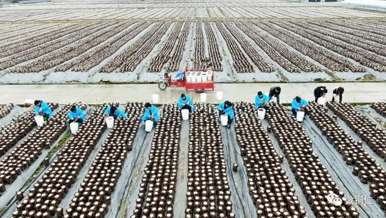 微信图片_20220304110445_调整大小