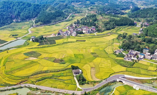 微信图片_20220304110448_调整大小