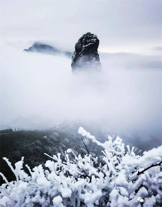 春天的梵净山图片图片