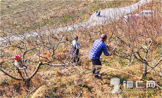 万山敖寨乡：不负好时光 全力备春耕