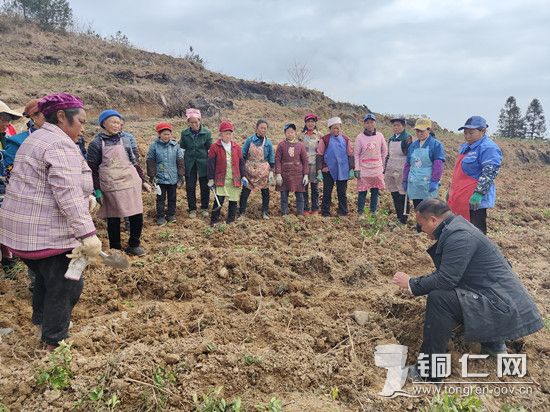 工作人员为村民讲解栽种知识  张盼摄