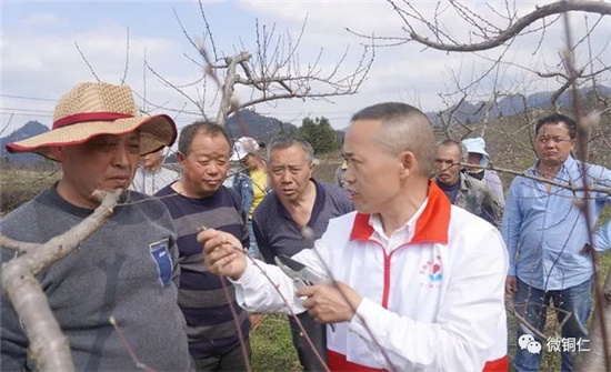 万山：“两心”相融“心芯”相悦