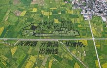 铜仁市碧江区瓦屋乡油菜花