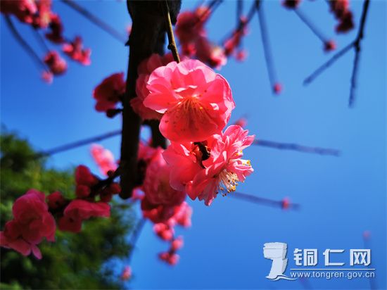 IMG_20220308_094237