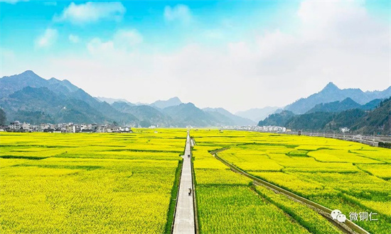 春天一来，铜仁已成花的海洋