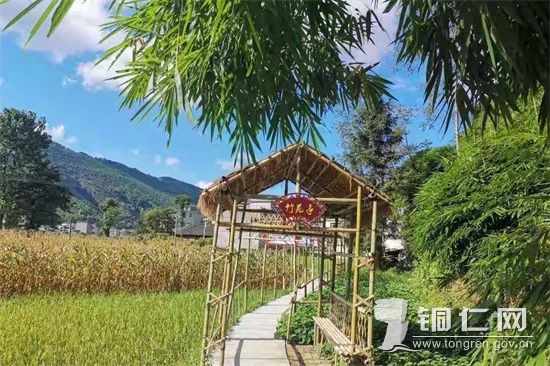 朝阳竹苑亭 安玉玲摄