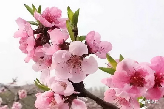 微信图片_20220329091540_调整大小