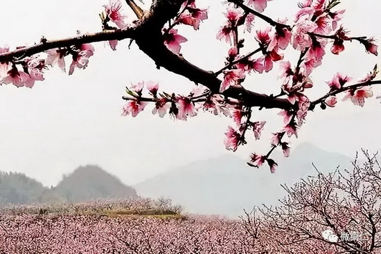 微信图片_20220329091542_调整大小