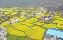 画说铜仁丨春染思南如画卷