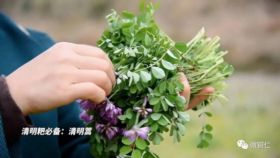 微信图片_20220404111126_调整大小