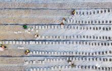 画说铜仁丨菌棒“秀”万山