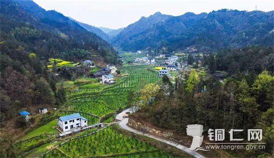 万山：果蔬管护正当时 技术先行保丰收