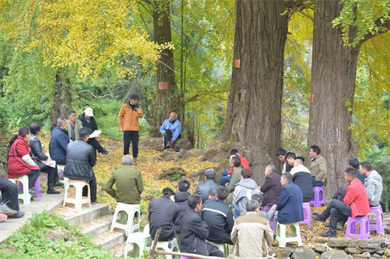 德江：赋魂传统村落 踏步乡村振兴