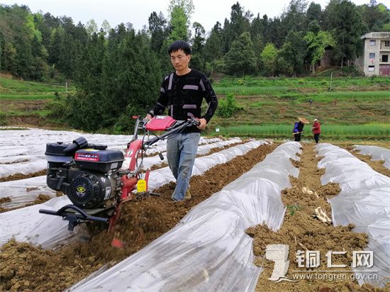 2-科技助阵春耕生产