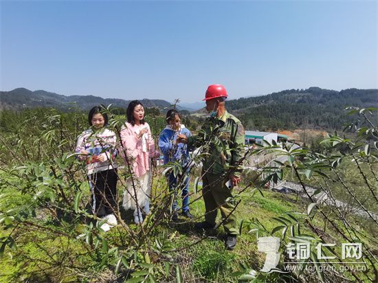 思南大坝场：党员忙田间 产业冒尖尖