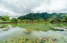 春天的云舍