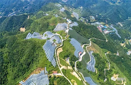 推动高质量发展取得新成效，下溪这样做！