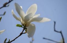 贵州健康职业学院：人间四月芳菲处