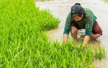 江口县闵孝镇提红村：春耕发展新色彩