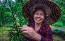 好“李”来袭 只为等你