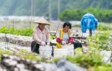 万山：智慧农业促发展 乡村产业更兴旺