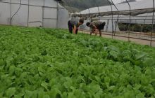 走进美丽乡村舟上