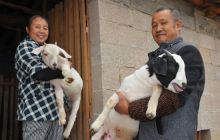 乡村要振兴 产业必振兴