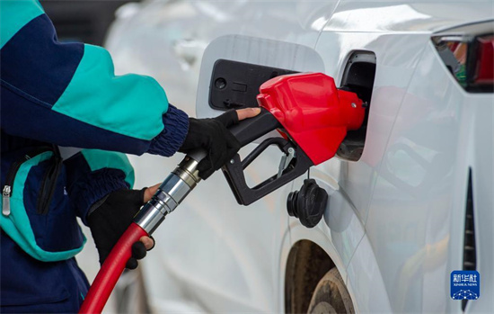 00304447157_5da55c36