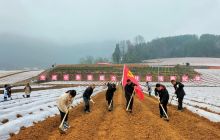 助农春耕促增收！德江县烟草专卖局（分公司）开展主题党日活动