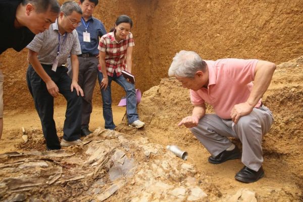 专家指导杨价墓发掘 右二周必素