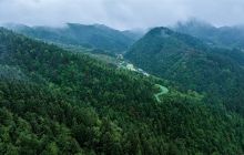 万山区黄道乡黄溪村：青绿黄溪 焕发生机