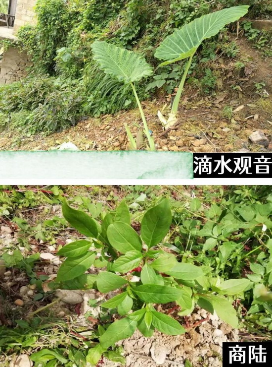 QQ截图20230510094046_调整大小