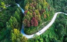 沿河中寨镇:五彩秋色惹人醉